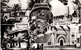 ALGERIE - TLEMCEN - Souvenir Multiples Vues  - Tlemcen