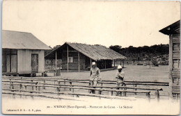 GABON - N KOHO - Une Plantation De Cacao, Le Sechoir  - Gabon