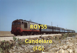 Puglia Foggia Treno Locale Manfredonia Foggia In Transito Nei Pressi Di Candelaro Quartiere Di Foggia Nord 1985 (retro) - Eisenbahnen