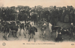 Fontainebleau * La Chasse à Courre En Forêt * Vénerie Meute De Chiens - Fontainebleau