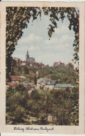 AK Leisnig, Blick Vom Stadtpark 1934 - Leisnig