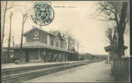 Montluel - La Gare - Vialatte Photo - Voir 2 Scans & Descriptif - Montluel