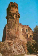 63 - Volvic - Le Château De Tournoel - CPM - Voir Scans Recto-Verso - Volvic