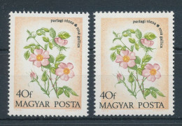 1973. Flower (XI.) - Flowers Of Forests-Meadows - Misprint - Abarten Und Kuriositäten