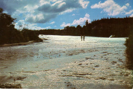 New Zealand - Rotorua - The Terraces. Waiotapu - New Zealand