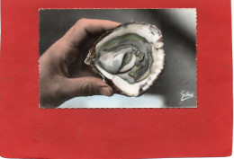 CRUSTACES---HUITRE---La Marennes--voir 2 Scans - Fish & Shellfish