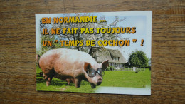 En Normandie ... Il Ne Fait Pas Toujours Un " Temps De Cochon " ! - Basse-Normandie