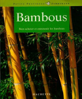 Bambous (2001) De Halina Heitz - Garden