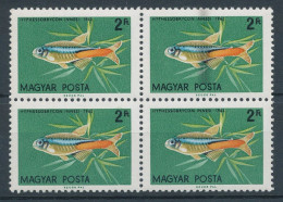 1962. Aquarium Ornamental Fish (I.) - Misprint - Varietà & Curiosità