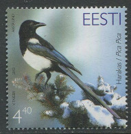 Estonia:Unused Stamp Bird Of The Year, Magpie, 2003, MNH - Estonie