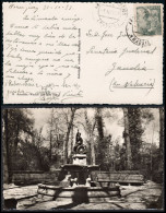 Madrid - Edi O TP 1051 - Postal Mat "Aranjuez - Estación 1/Nov./53" - Lettres & Documents