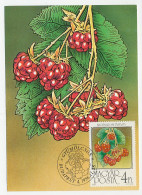 Maximum Card Hungary 1986 Raspberries - Frutta