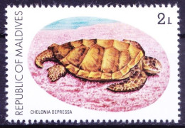 Maldives 1980 MNH, Australian Flatback Turtle (Chelonia Depressa) - Schildpadden