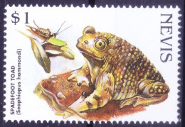 Nevis 1998 MNH, Spadefoot Toad, Frogs, Amphibians - Frösche