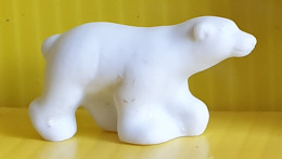 Fève  - Ours Polaire  - Ours Blanc - Animaux