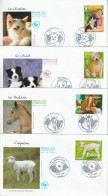 FDC - 2006 - Les Jeunes Animaux Domestiques - 2000-2009