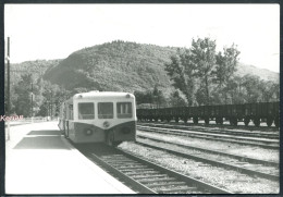 PHOTOGRAPHIE J. Bazin - Autorail - La Cluse - Voir 2 Scans & Descriptif - Gares - Avec Trains