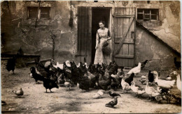Frau Beim Hühner Füttern - Viehzucht