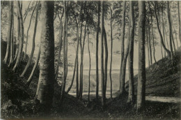 Timmendorfer Strand, Die Wolfsschlucht In Der Kammer - Timmendorfer Strand