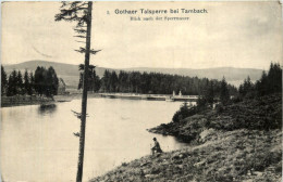 Gothaer Talsperre Bei Tambach - Tambach-Dietharz