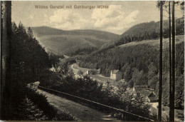 Wildes Geratal Mit Gehlberger Mühle - Suhl