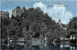 Tharandt, Ruine Mit Stadtkirche Und Schlossteich - Tharandt