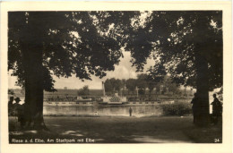 Riesa An Der Elbe, Am Stadtpark Mit Elbe - Riesa