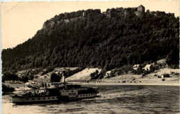 Festung Königstein Mit Elbe - Koenigstein (Saechs. Schw.)