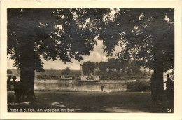 Riesa An Der Elbe, Am Stadtpark Mit Elbe - Riesa