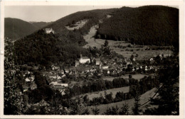 Leutenberg I. Thür., Blick Vom Götz-Grosse-Idyll - Leutenberg