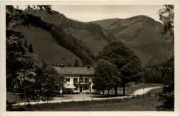 Bäckeralm, Bayrischzell - Miesbach