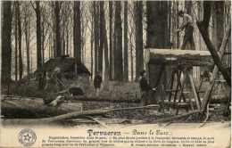 Tervueren - Dans Le Parc - Holzfäller - Tervuren