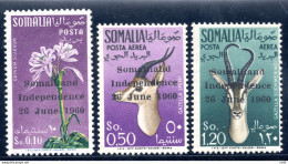 Somalia Indipendente - Soprastampati Somaliland Indipendence 26 June 1960 - Somalia