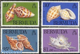 Bermuda 1982 Shells 4v, Mint NH, Nature - Shells & Crustaceans - Marine Life