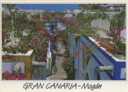 133397 - Mogan - Spanien - Ansicht - Gran Canaria