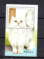 GUINEE - GUINEA - B/F - M/S - 1995 - CHATS - CATS - KATZEN - CHINCHILLA - - Guinea (1958-...)