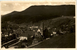 Kurort Alpirsbach Im Schwarzwald, Blick Vom Waldhotel Burghalde - Alpirsbach