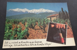 Canigou-Berg, Roussillon - Foto Hervé Donnezon - Uitgeverij HAVAS Catalan - Roussillon