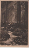 70388 - Altenau - Morgenstimmung Am Dammgraben - Ca. 1935 - Altenau