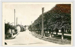 77.BRAY SUR SEINE.LES PROMENADES.CPSM - Bray Sur Seine