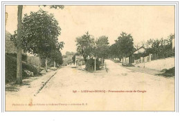 77.LIZY-SUR-OURCQ.PROMENA DES ROUTE DE CONGIS - Lizy Sur Ourcq