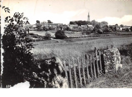 81 .  N° 200790  .  MONTREDON LABESSONIE  .  VUE GENERALE  .  CPSM . 14,5 X 10,5 - Montredon Labessonie