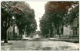 83.AUPS.n°29.AVENUE GEORGES CLEMENCEAU.CPSM - Aups