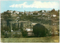 83 . N° 41909 . Montauroux.vue Generale . Cpsm 10 X 15 Cm - Montauroux