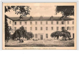 88.CHATEL SUR MOSELLE.L'HOSPICE DEPARTEMENTAL. - Chatel Sur Moselle