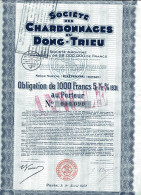 Société Des CHARBONNAGES Du DONG-TRIEU; Obligation - Asie