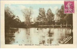 89.SEIGNELAY.PAYSAGE SUR LE SEREIN - Seignelay