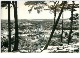 91.LA FERTE ALAIS.n°23753.VUE GENERALE .CPSM - La Ferte Alais