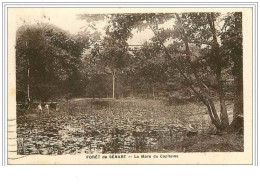 91.FORET DE SENART.LA MARE DU CAPITAINE - Sénart