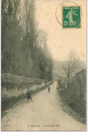 91.BIEVRES.LE CHEMIN VERT.VOIR ETAT - Bievres